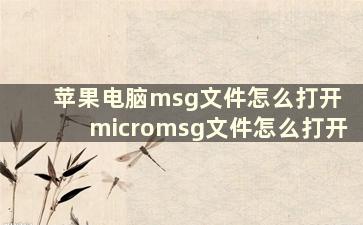 苹果电脑msg文件怎么打开 micromsg文件怎么打开